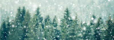 Master Class: How to Stay on Track During the Holidays & WIN!