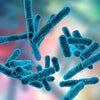 Gut Health: Your Know-It-All Guide