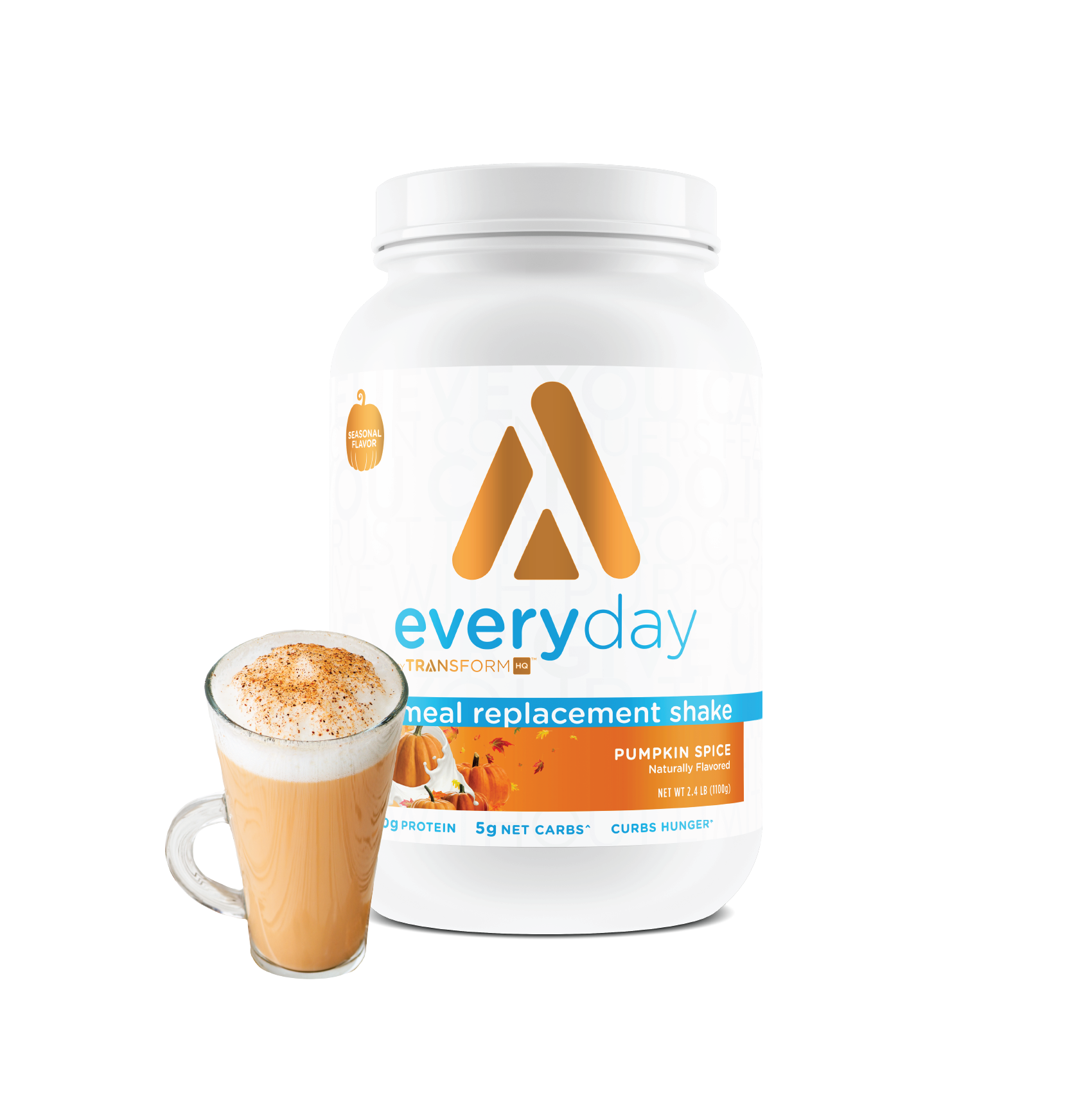 Low Carb Meal Replacement (25 Off) TransformHQ